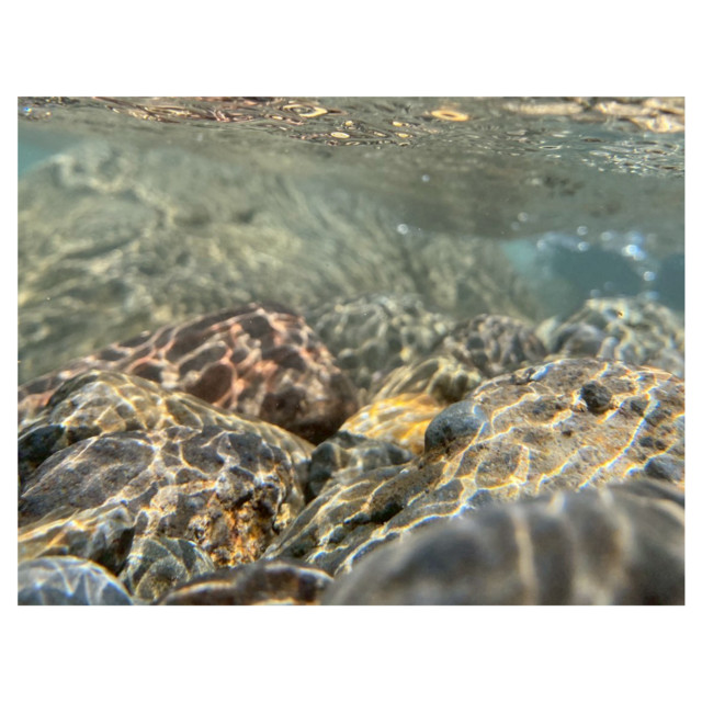 Naiad Pump